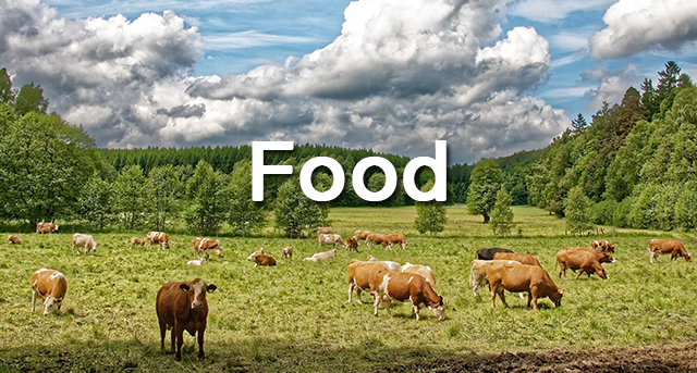 food2