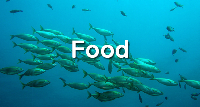 food3